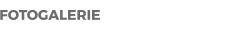 FOTOGALERIE